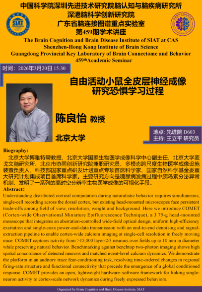 自由活动小鼠全皮层神经成像研究恐惧学习过程